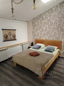 Студия Псковская область, Псков ул. Ижорского Батальона, 57А (25.0 м)