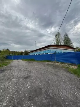 Производственное помещение в Свердловская область, Режевской ...