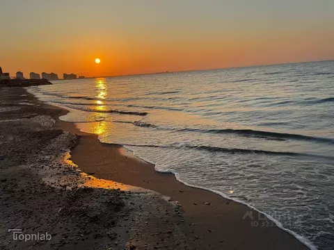 Участок в Крым, Сакский район, Штормовское с/пос, с. Приветное  (6.0 ...