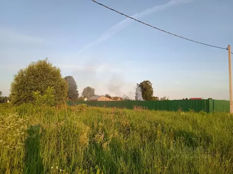 Участок в Московская область, Чехов муниципальный округ, д. Плешкино ...