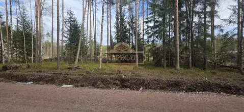 Участок в Ленинградская область, Всеволожский район, Бугровское ...
