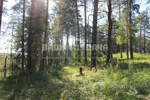 Участок в Тульская область, Заокский район, Малаховское с/пос, ...