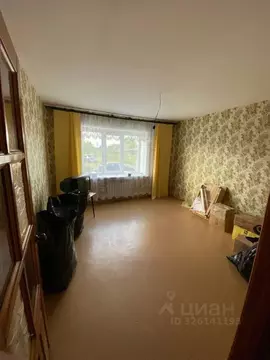 2-к кв. Нижегородская область, Шатковский муниципальный округ, с. ...