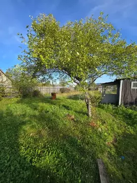 Дом в Хабаровский край, Комсомольский район, Галичное СНТ ул. Садовая, ...