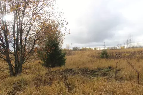 Участок в Московская область, Шаховская муниципальный округ, д. ...