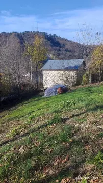 Участок в Краснодарский край, Туапсинский муниципальный округ, ...