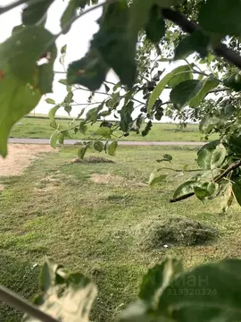 Участок в Калужская область, Калуга Московская ул. (5.0 сот.)