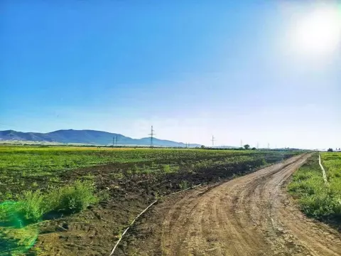 Участок в Крым, Кировский район, с. Журавки ул. Юбилейная (8530.31 ...