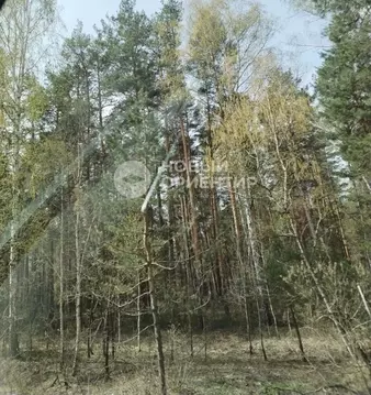 Участок в Свердловская область, Режевской муниципальный округ, д. ...