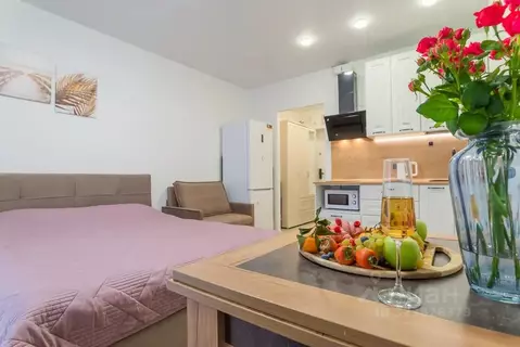 Студия Московская область, Ленинский городской округ, Дрожжино пгт ул. ...