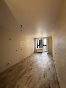 Студия Воронежская область, Воронеж Острогожская ул., 156/3 (24.0 м)