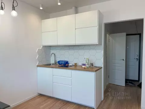 Студия Санкт-Петербург Усть-Славянка тер., ул. Заводская, 17 (22.3 м)