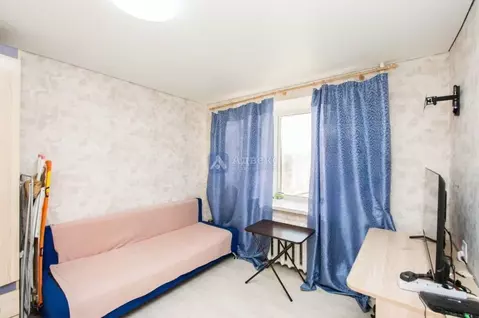 Студия Тюменская область, Тюмень Волгоградская ул., 70 (16.2 м)