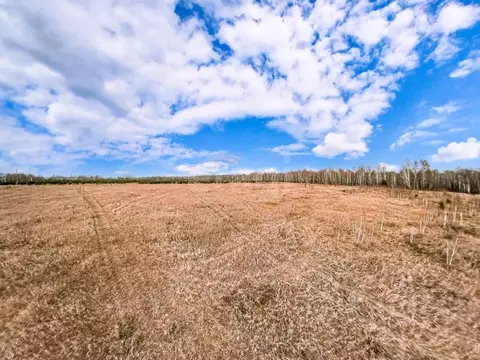 Участок в Тюменская область, Тюменский муниципальный округ, д. Елань  ...