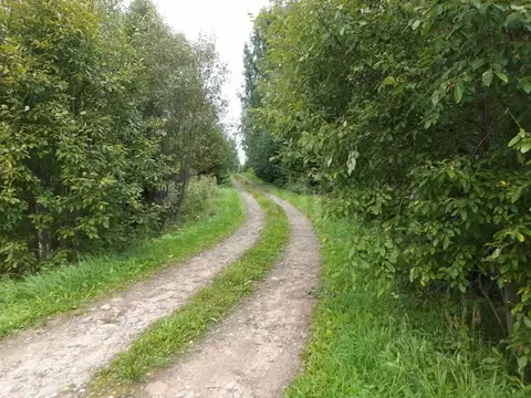 Участок в Московская область, Волоколамский муниципальный округ, д. ...