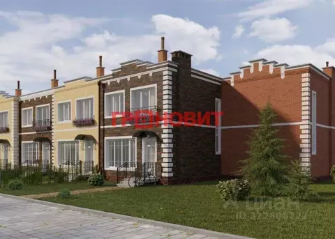 2-к кв. Новосибирская область, Новосибирский район, Мичуринский ...