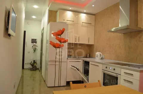 1-к кв. Санкт-Петербург ул. Ушинского, 33к3 (45.0 м)