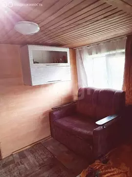 Дом в Миасс, СТ Речной (40 м)