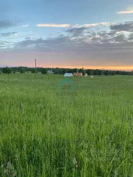 Участок в Ленинградская область, Волосовский район, Большеврудское ...