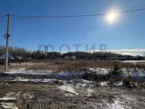 Участок в Тюменская область, Тюменский муниципальный округ, д. ...