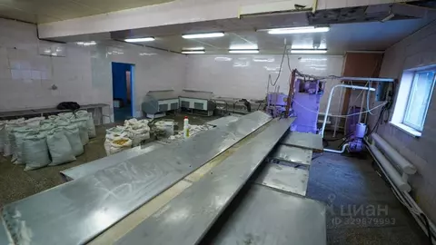 Помещение свободного назначения в Камчатский край, Елизовский ...