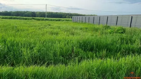 Участок в деревня Шишкино, КП Брусникино, 14 (7 м)