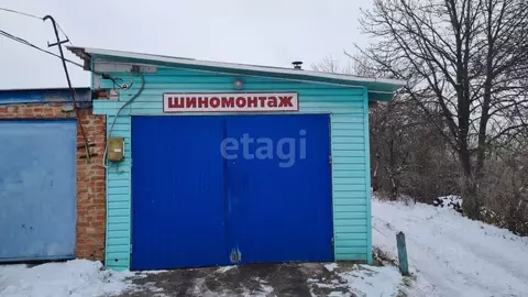 Помещение свободного назначения в Белгородская область, Волоконовка рп ...