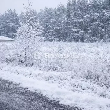 Участок в Нижегородская область, Богородский муниципальный округ, с. ...