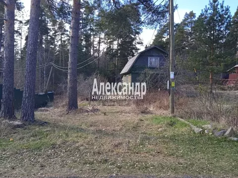 Участок в Ленинградская область, Приозерский район, Плодовское с/пос, ...