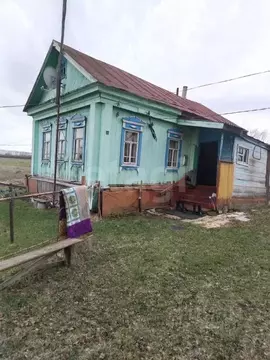 Дом в Мордовия, Ичалковский район, с. Резоватово 4 (30 м)