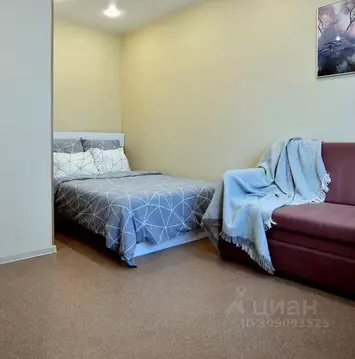 1-к кв. Амурская область, Благовещенск ул. Фрунзе, 37 (27.0 м)