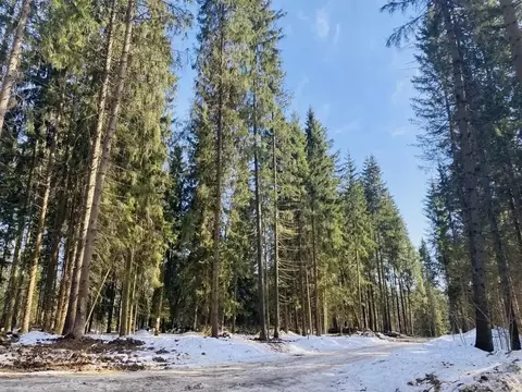 Участок в Московская область, Одинцовский городской округ, Каретный ...