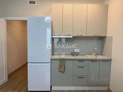 Студия Санкт-Петербург просп. Королева, 57к1 (24.4 м)