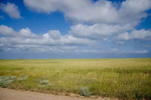 Участок в Крым, Сакский район, с. Штормовое  (6.4 сот.)