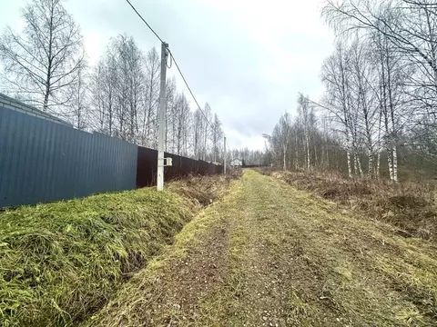 Участок в Московская область, Дмитровский муниципальный округ, д. ...