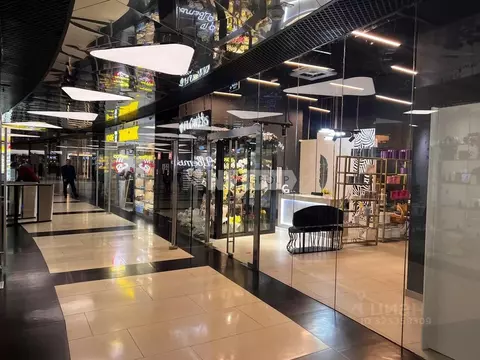 Помещение свободного назначения в Москва наб. Пресненская, 12 (41 м)