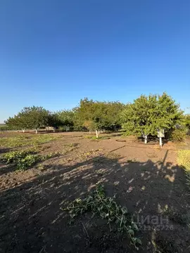 Участок в Ростовская область, Азовский район, Пешковское с/пос, с. ...