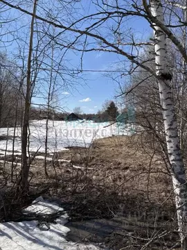 Участок в Нижегородская область, Бор муниципальный округ, д. Марково ...