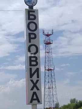 Участок в Алтайский край, Первомайский район, с. Боровиха ...