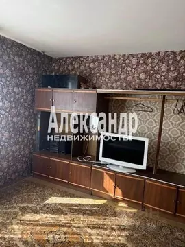 1-к кв. Ленинградская область, Всеволожск Ленинградская ул., 30к1 ...