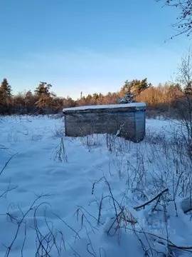 Участок в Ленинградская область, Приозерский район, Ларионовское ...