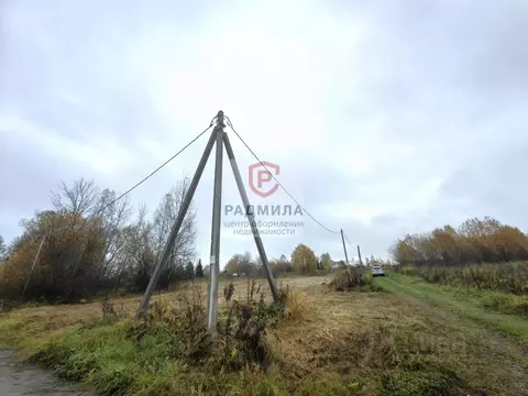 Участок в Владимирская область, Александровский муниципальный округ, ...