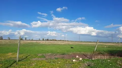 Участок в Крым, Кировский район, с. Приветное ул. Чехова (25.0 сот.)