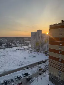 1-к кв. Московская область, Лосино-Петровский городской округ, ...