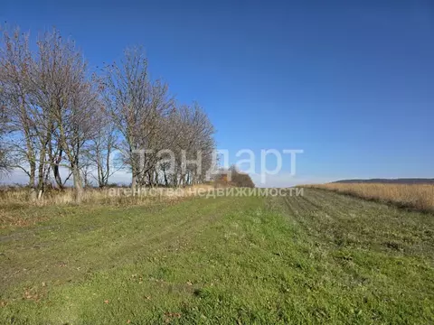 Участок в Ставропольский край, Предгорный муниципальный округ, пос. ...