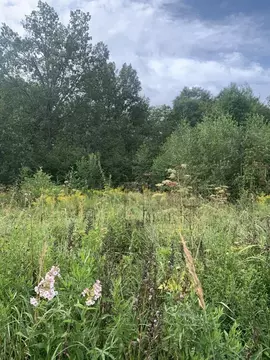 Участок в Калужская область, Перемышльский район, Большие Козлы с/пос, ...