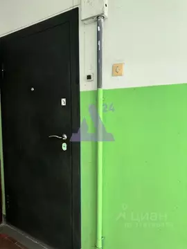 3-к кв. Алтайский край, Барнаул тракт Павловский, 86 (66.2 м)