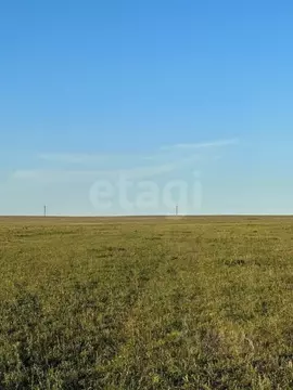 Участок в Крым, Черноморский район, с. Окуневка  (8.45 сот.)