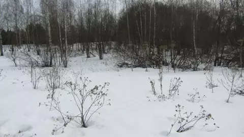 Участок в Московская область, Рузский муниципальный округ, д. Марьино  ...