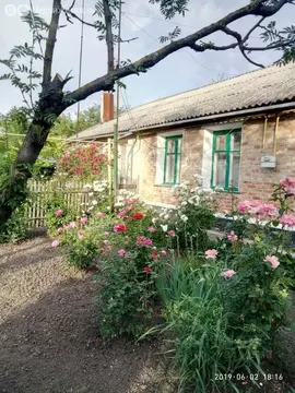 Дом в посёлок Каяльский, улица Ленина, 29 (50 м)